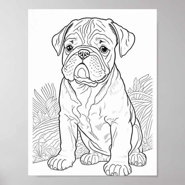 Poster Coloração para Adultos do Buldogue Inglês (Frente)