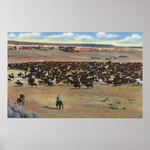 Pôster Colorado - Arredondamento de Cowboys