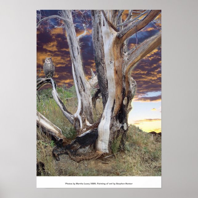 Poster Colorado Sunset (Frente)