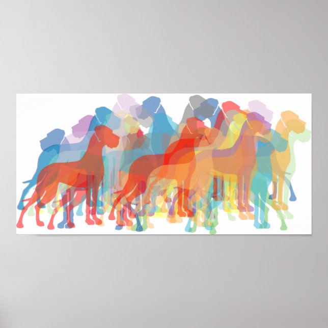 Pôster Colored Danes (Frente)