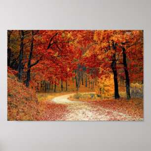 Poster Colorful Autumn Trees Road