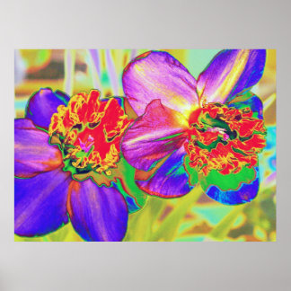 Pôster Colorful daffodil print