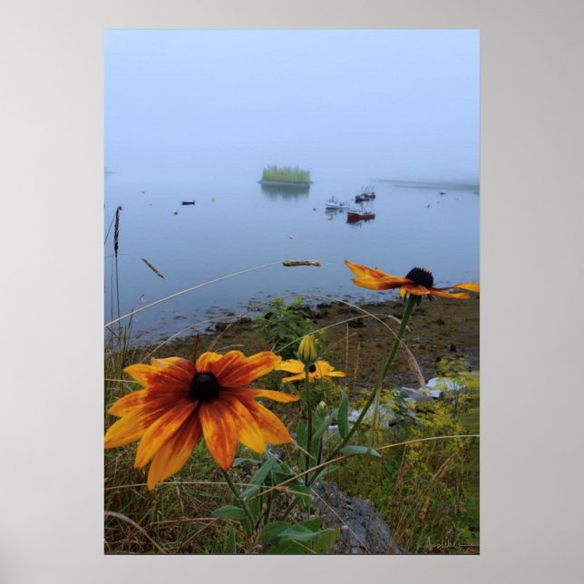 Poster Colorful Daisy, Lubec Maine (Frente)