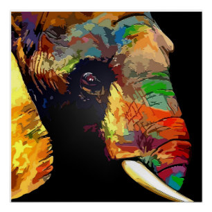 Pôster Colorful elephant paint