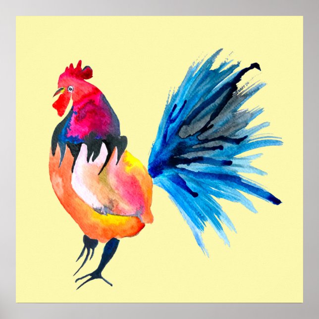 Poster Colorful rooster watercolor animal (Frente)