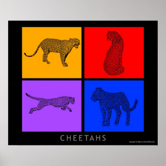 Pôster Colorida Cheetah