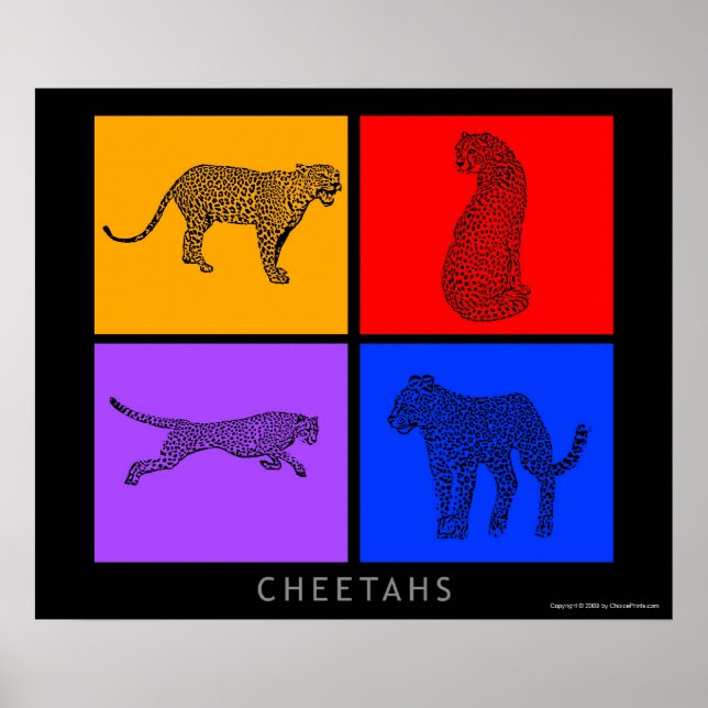 Pôster Colorida Cheetah (Frente)