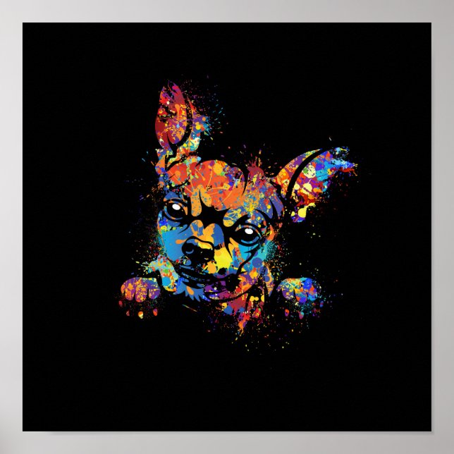 Poster Colorida Chihuahua (Frente)