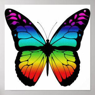 Poster colorido da borboleta