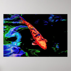 Pôster Colorido Koi