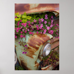 Poster Columbia Falls