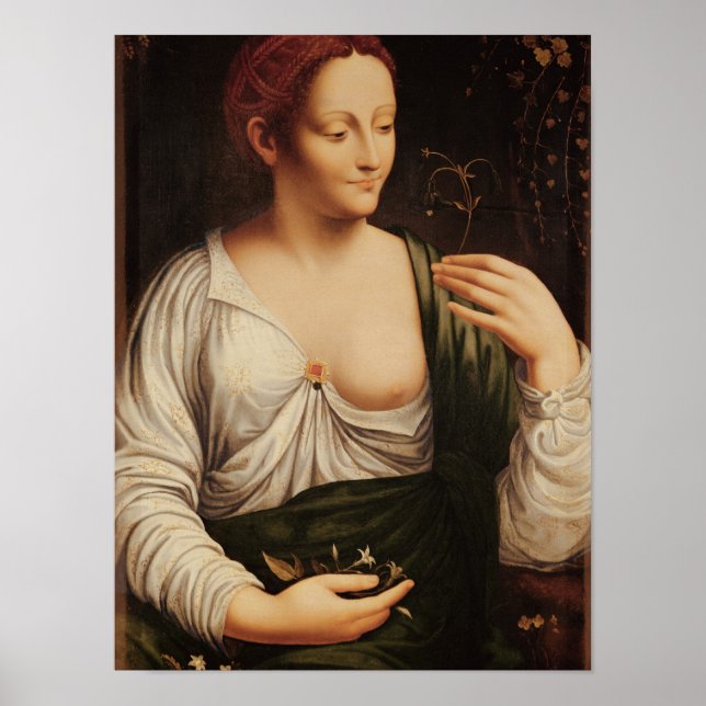 Poster Columbina (Frente)