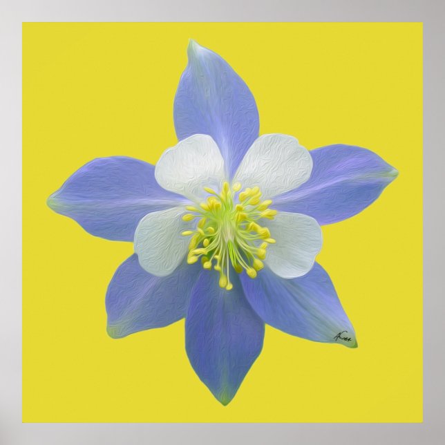 Pôster Columbina 2 (Frente)