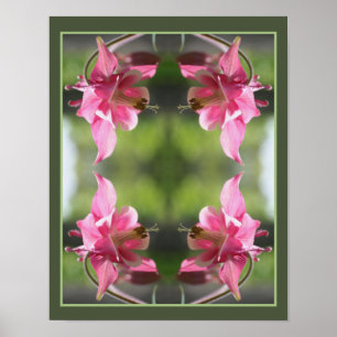 Poster Columbina Cor-de-rosa Fechar Abstrato