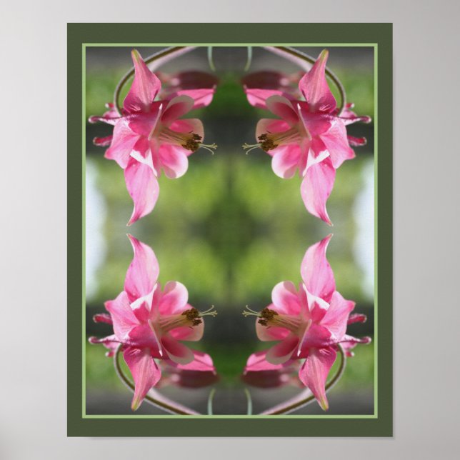 Poster Columbina Cor-de-rosa Fechar Abstrato (Frente)