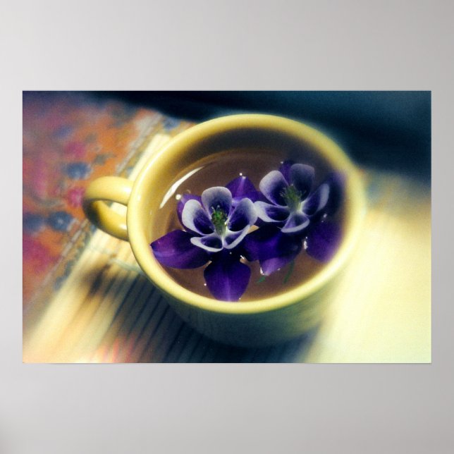 Pôster Columbinas (Frente)