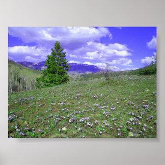 Pôster Columbine Hill