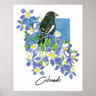 Poster Columbine Montanha Flores Colorado Lark Bunting