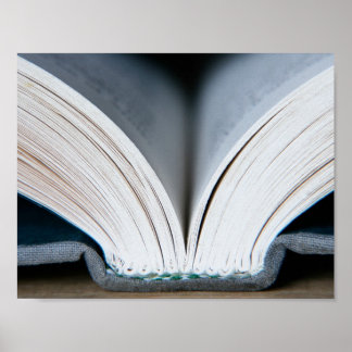 Pôster Coluna de Livros (poster)