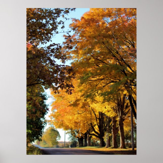 Poster Colunas do outono na Estrada do País (Frente)