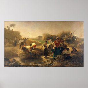 Pôster Colza Threshing nos campos de Lille