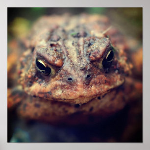 Poster Com a face para cima