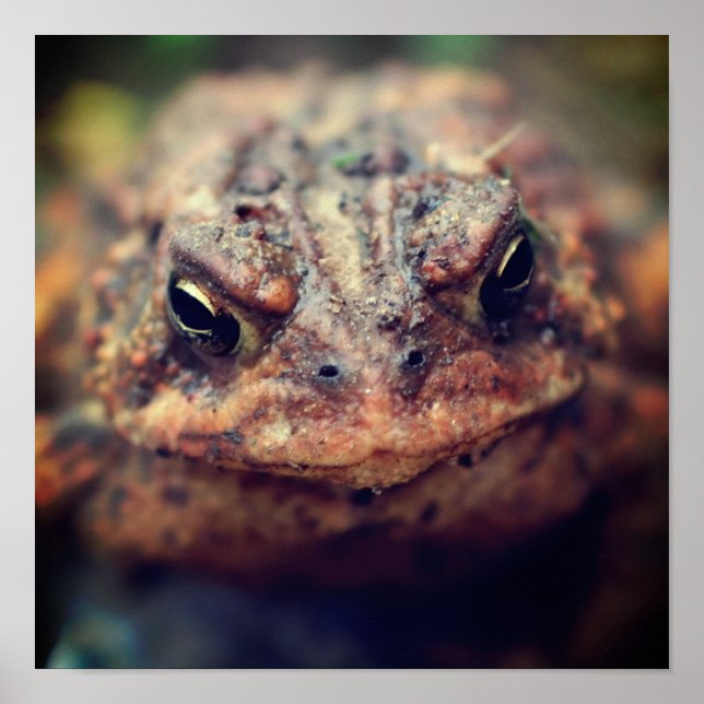 Poster Com a face para cima (Frente)