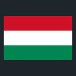 Poster com bandeira da Hungria<br><div class="desc">Belo poster com bandeira da Hungria. Este produto é personalizável.</div>