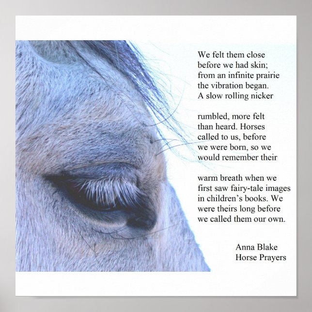 Poster com cavalo e poema de Anna Blake. (Frente)
