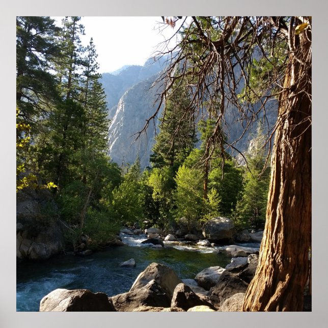 Poster com córrego, floresta e montanhas (Frente)