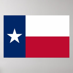 Poster com Flag do Texas, EUA