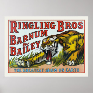 Poster com impressão do tigre do circo do vintage