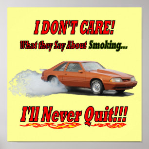 Poster com "Não me importo com o que dizem..."