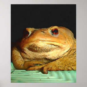 Poster Com Pintura De Disposição Filosófica