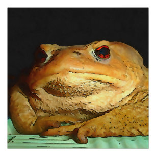 Pôster Com Pintura De Disposição Filosófica