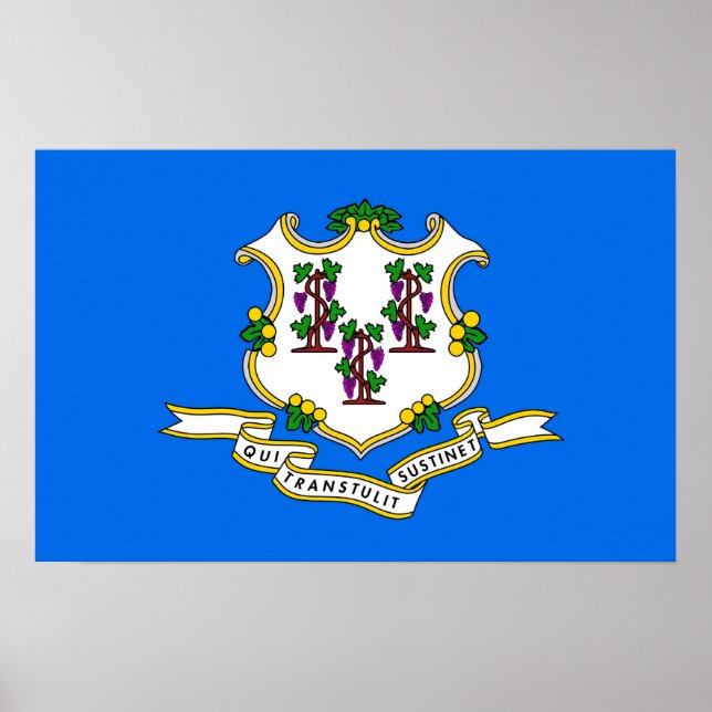 Poster com Sinalizador de Connecticut, EUA (Frente)