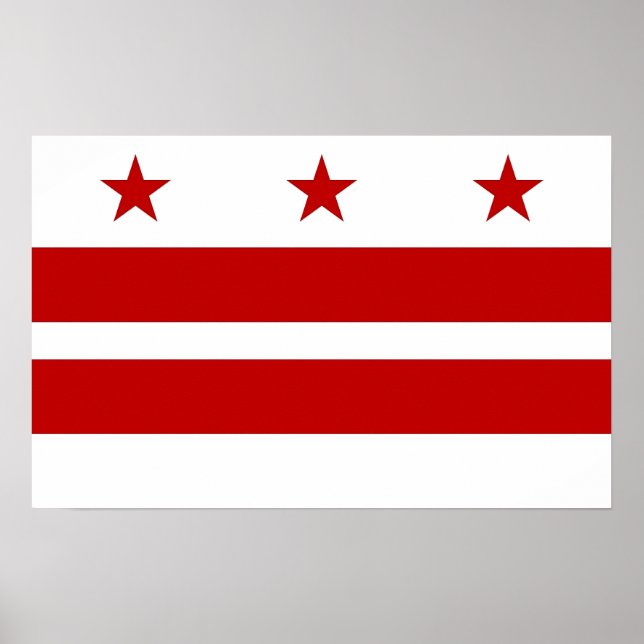 Poster com Sinalizador de Washington DC, EUA (Frente)