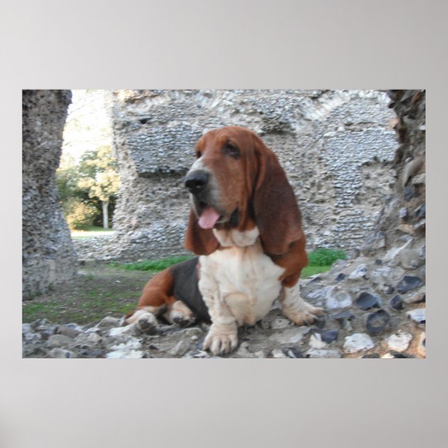 Poster com Visita de Ruin do Castelo de Hound Bass (Frente)