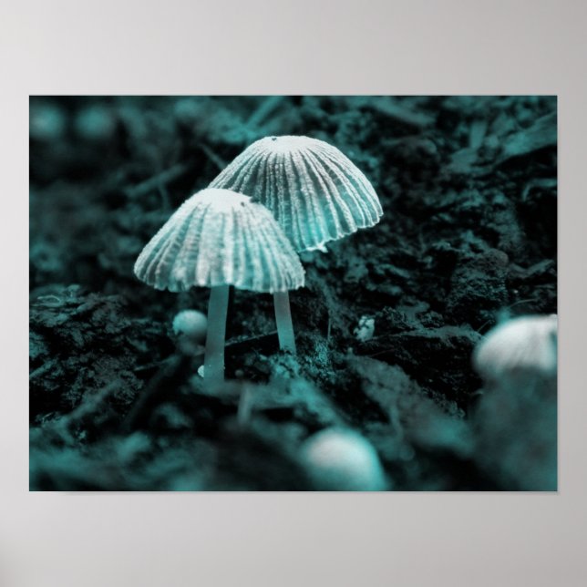 Poster Coma-Me. Beba-Me. (Frente)