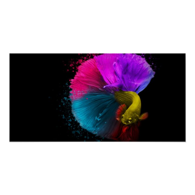 Pôster Combat Fish - Poster (Frente)