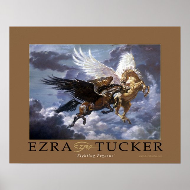 Pôster Combatendo Pegasus (Frente)