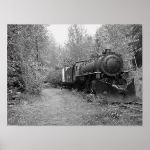 Pôster Comboio a vapor fora de uso