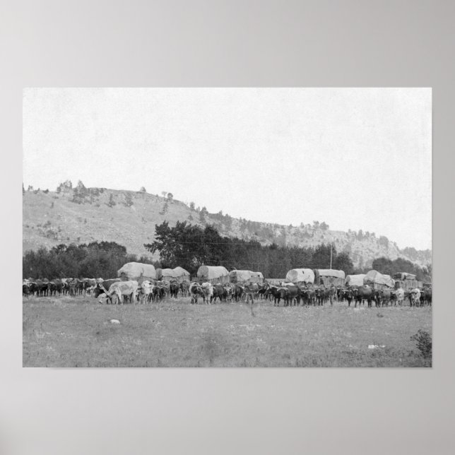 Poster Comboios Ox entre Sturgis e Dadwood Photograp (Frente)