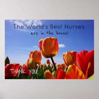 Pôster Comemoração da Semana de Enfermagem dos Melhores p