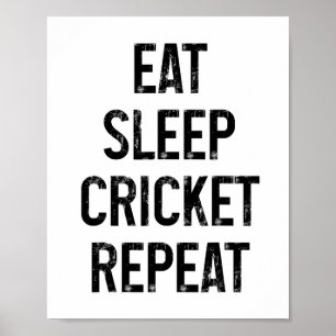 Poster Comer Dormir Críquete Repetir Divertido Vintage Pl