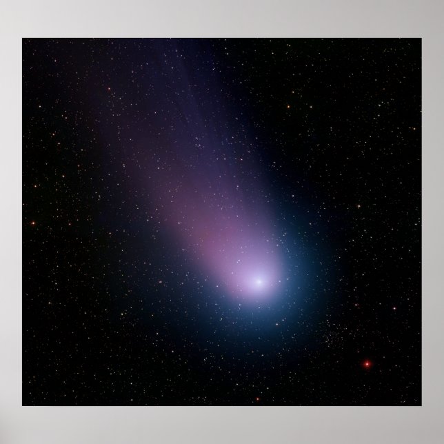 Pôster Comet NEAT (Frente)