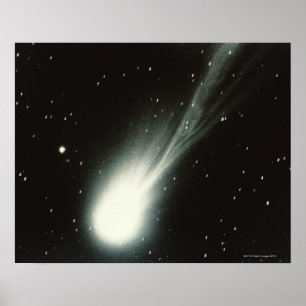 Pôster Cometa de Halleys