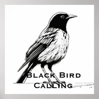 Poster Comic-Style Black Bird Calling
