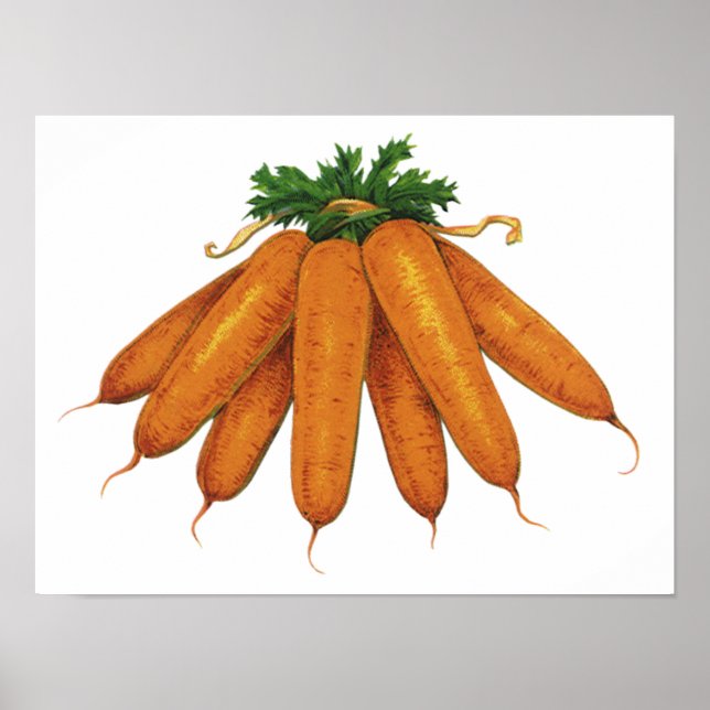 Pôster Comida Antiga, Molho de Cenouras Orgânicas Legumes (Frente)