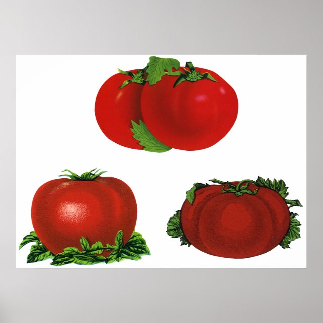 Poster Comida, Frutas, Produtos Hortícolas, De Tomates De (Frente)